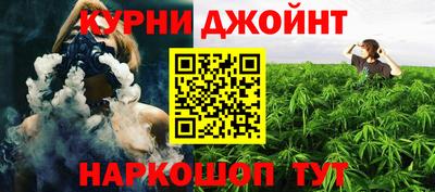 крисы Коммунар