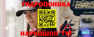 крисы Коммунар
