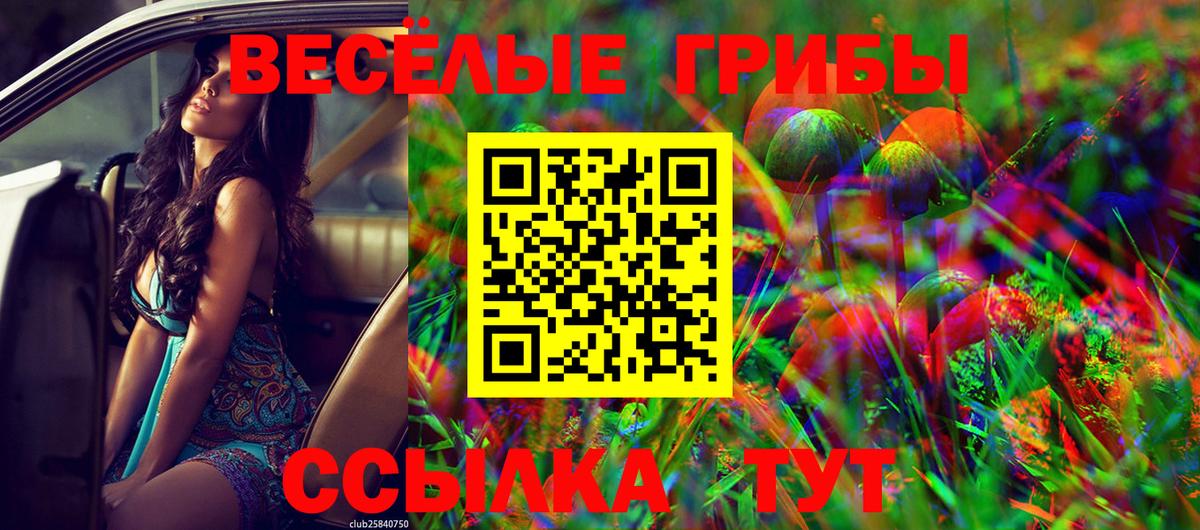 Черкесск  Псилоцибиновые грибы GOLDEN TEACHER  Вход с VPN 