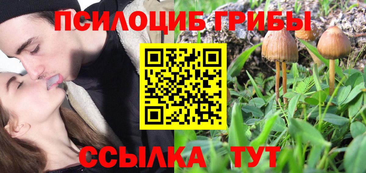 Псилоцибиновые грибы GOLDEN TEACHER Черкесск